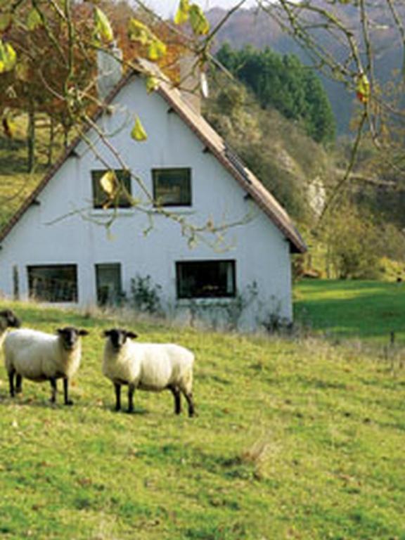 Tourville-la-Chapelle Chambre D'Hotes Les Champarts المظهر الخارجي الصورة